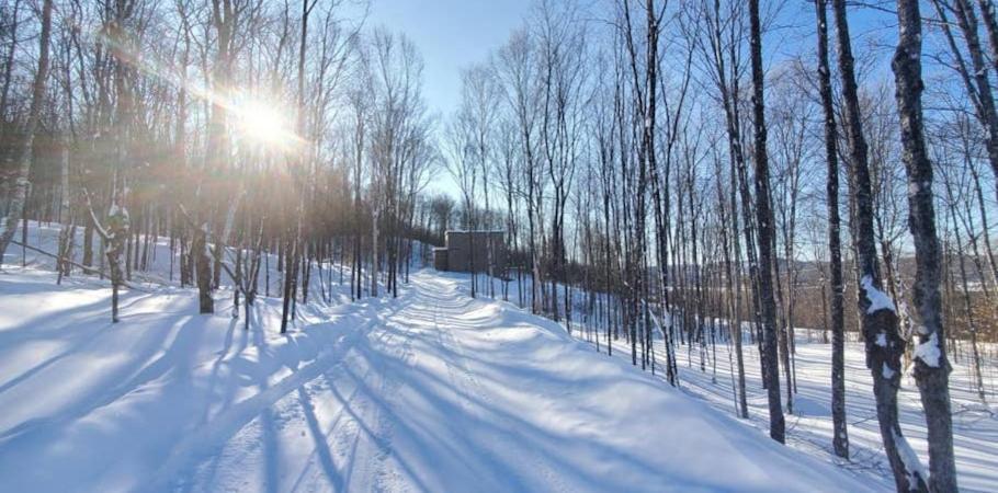 Chalet Serenity - Mont Tremblant Ski - Spa Sauna Wifi Tv Privet Chic Modern House Βίλα La Conception Εξωτερικό φωτογραφία