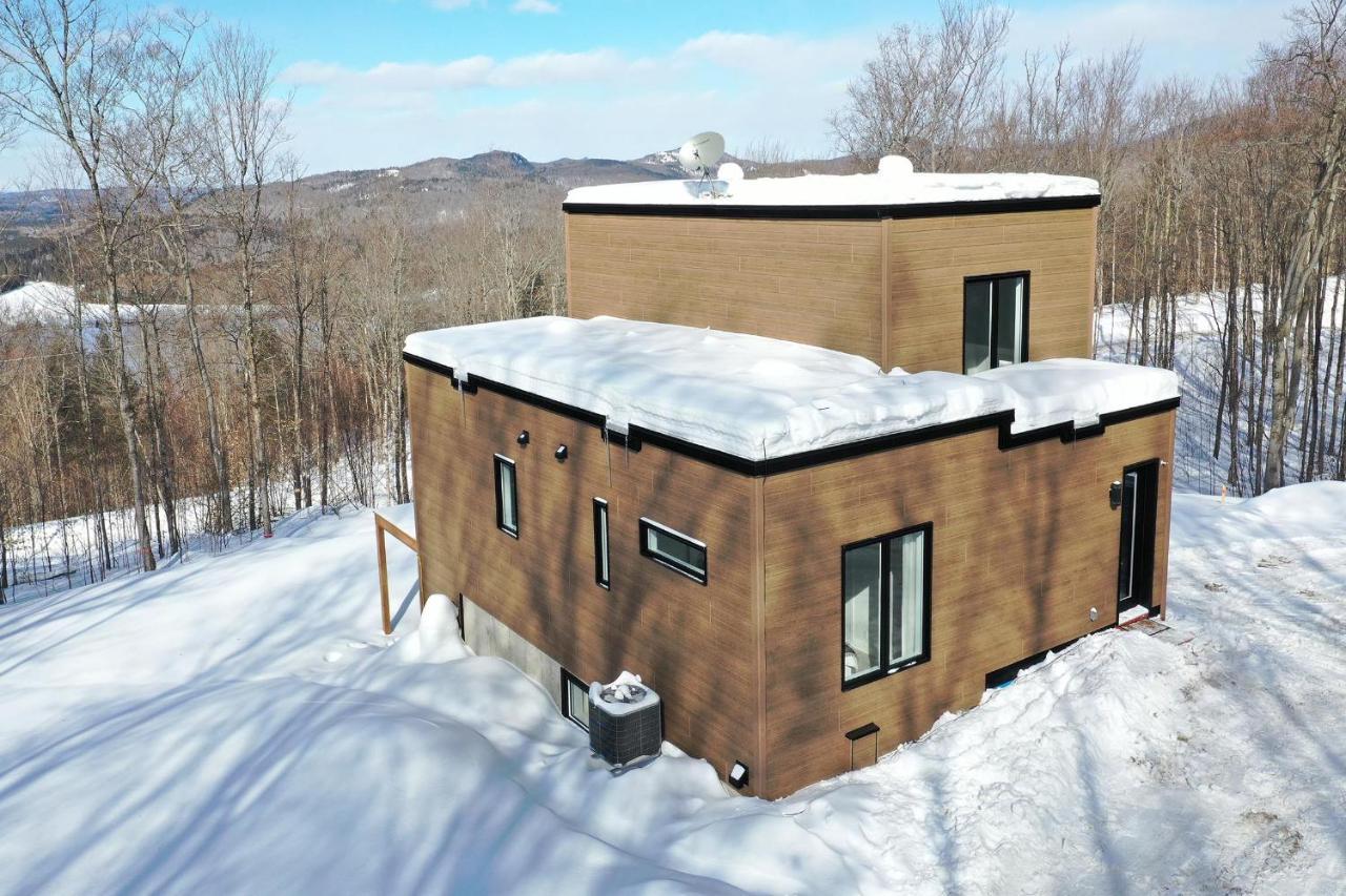 Chalet Serenity - Mont Tremblant Ski - Spa Sauna Wifi Tv Privet Chic Modern House Βίλα La Conception Εξωτερικό φωτογραφία